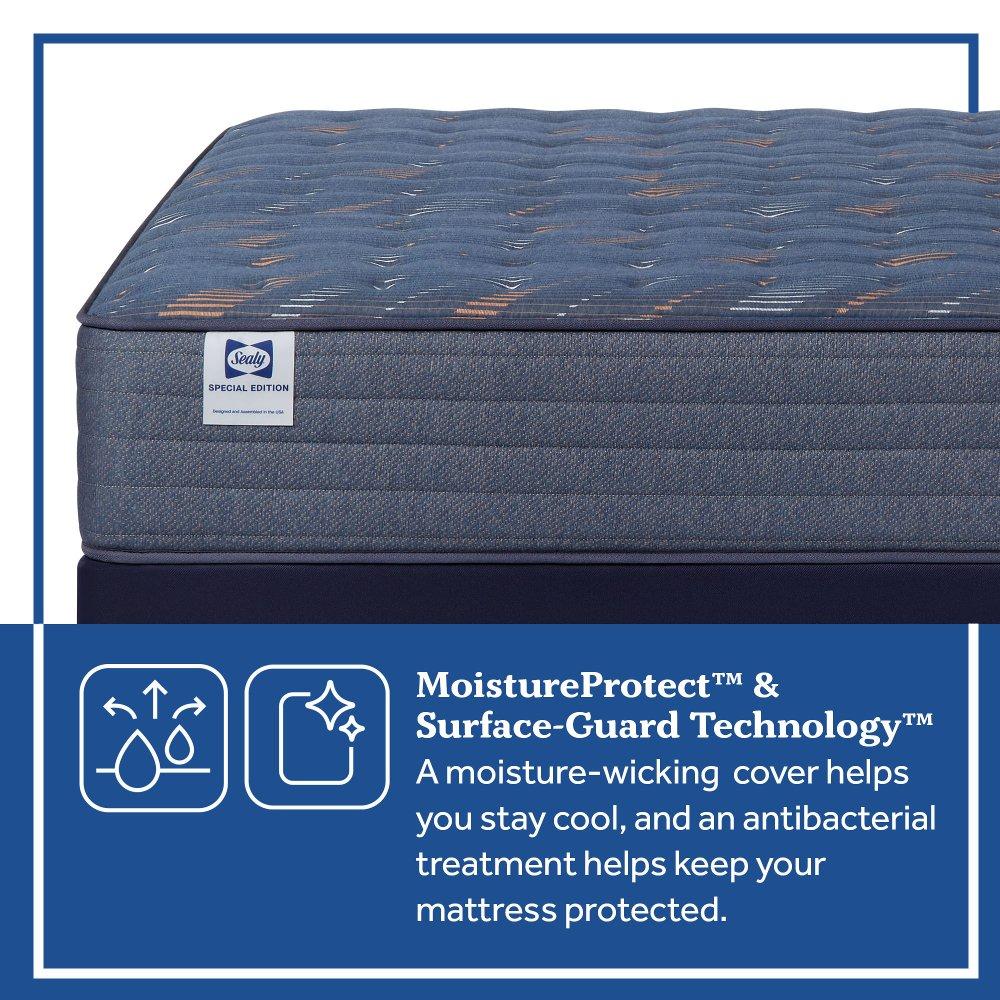 Warner Spring Mattress
